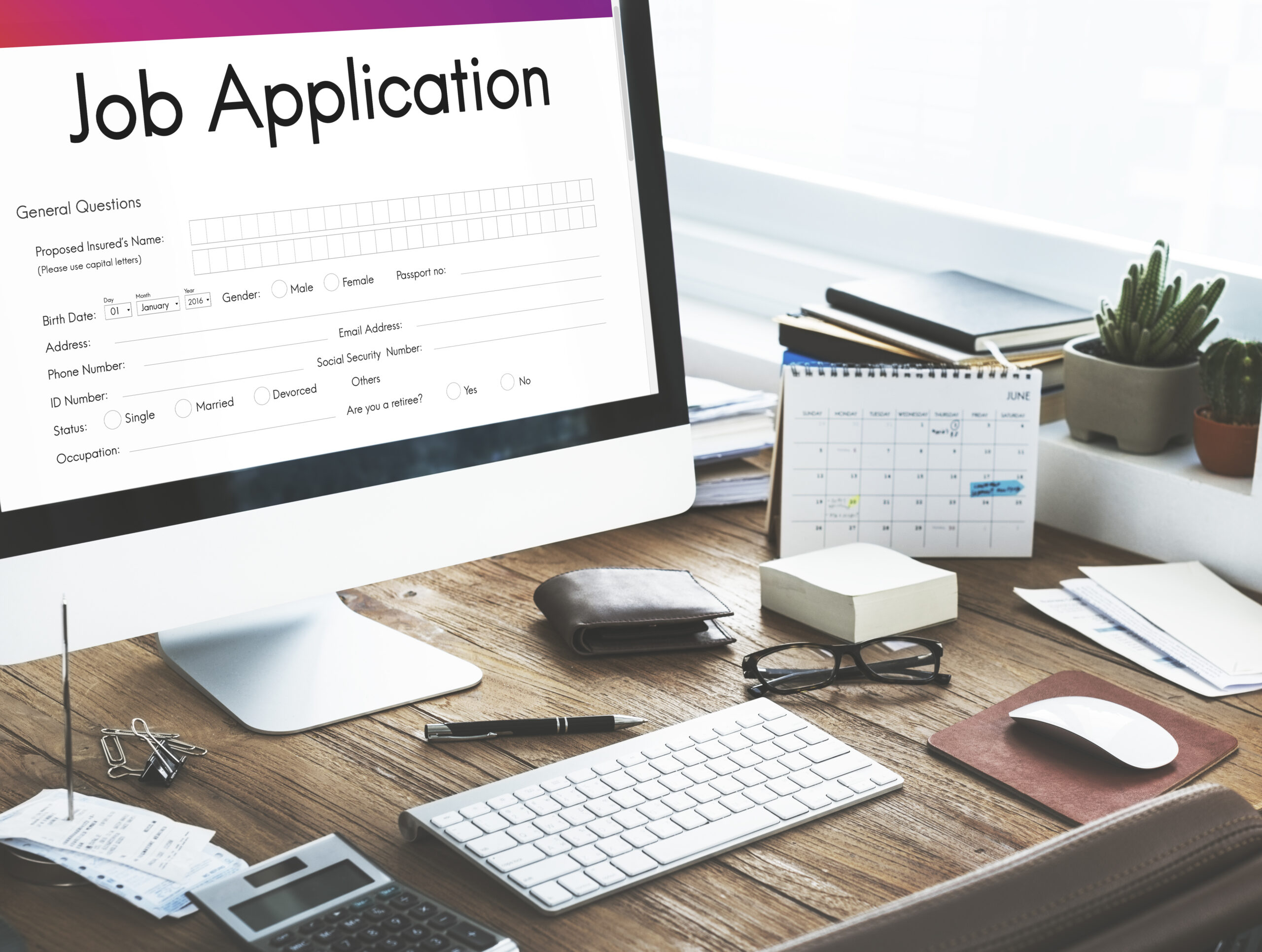 usa-job-application-2026-guide
